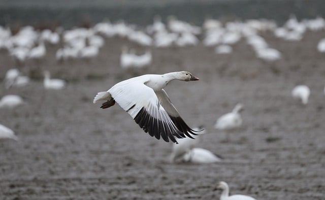Streit um migration: Wie politik und gesellschaft nach lösungen suchen